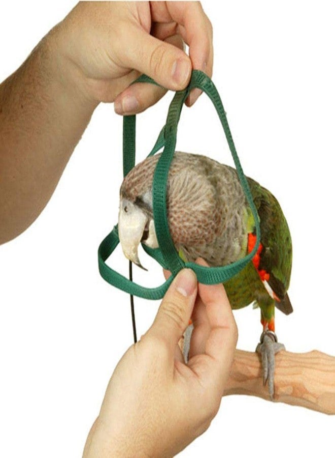 Sage Square Bird Harness Adjustable Durable Reusable Safe Great for Training, Exercise & Playing for Quakers, Senegals, Doves, Medium Parakeets, Rainbow Lorikeets, Rosellas (Random, Extra Small) - Image 3